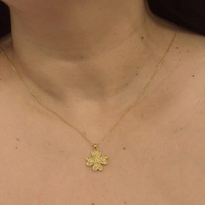 14414prova back